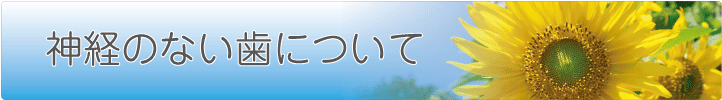 神経の無い歯について